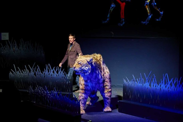 Ice Age Encounters Live Show