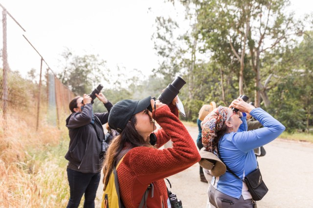 Group of people looking up with binoculars
