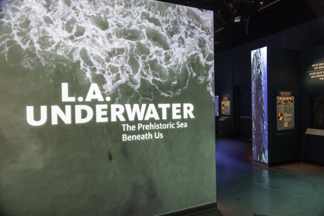 L.A. Underwater Entrance