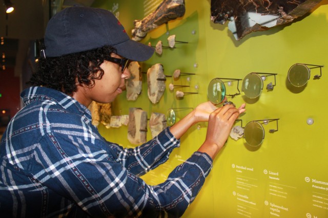 Student Working on Dino Hall Fossil Display