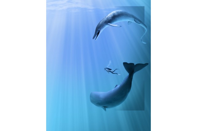 Illustration of the giant ichthyosaur with human and whale visible for scale