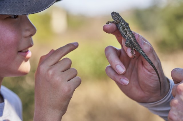 Wild LA Charmlee hiker + Lizard