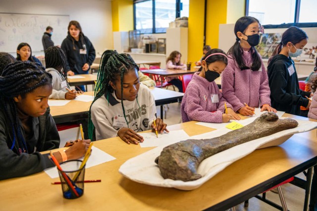 Girls in STEM Fossil Day