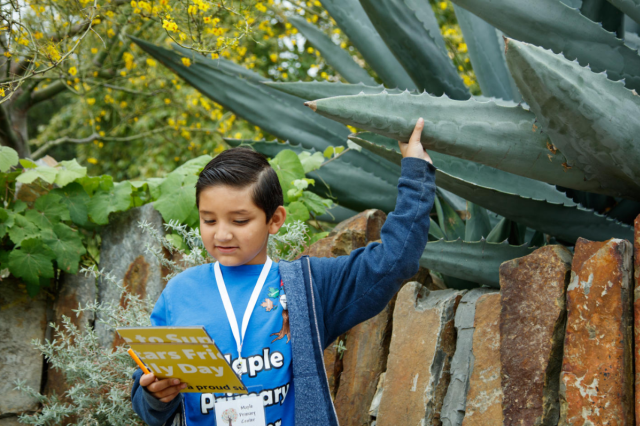 A student in the Nature Gardens touches an agave plant