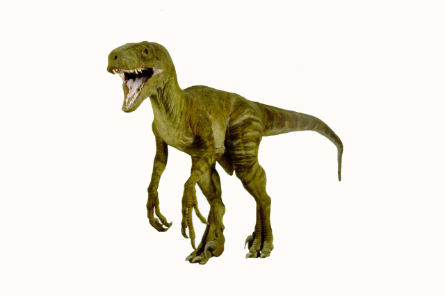 Jurassic Park Velociraptor Model