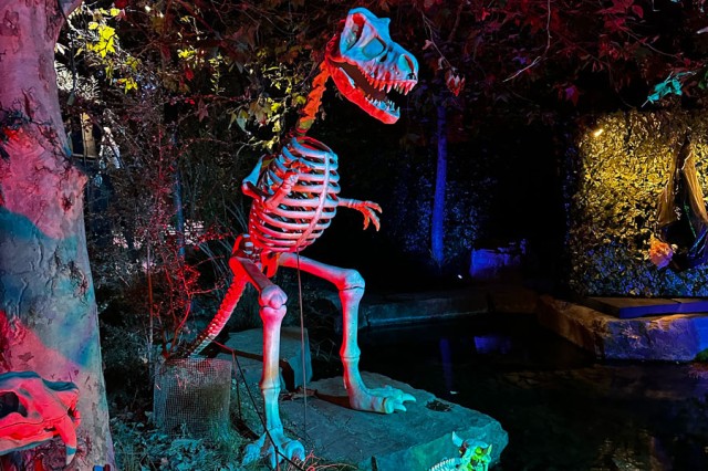 Replica dinosaur skeleton next to a small pond, surrounded by foliage at a night
