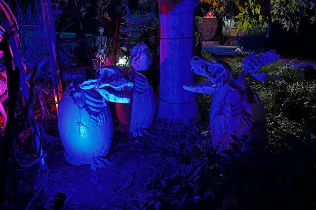 Blue and purple lit replica dinosaur and egg skeletons