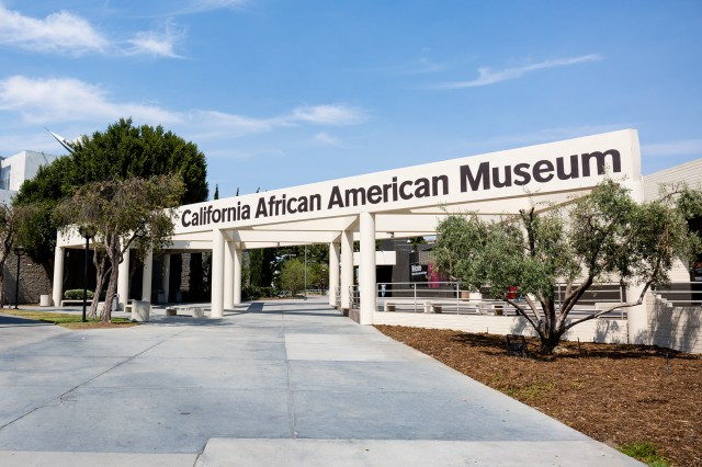 Link to California African American Museum