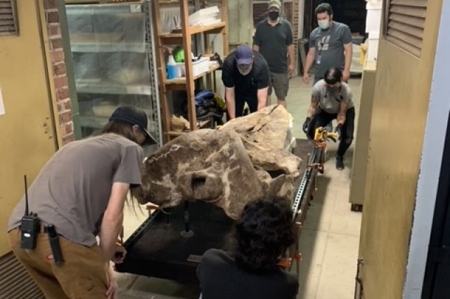 Museum staff help the Lincoln Heights Whale leave the collections
