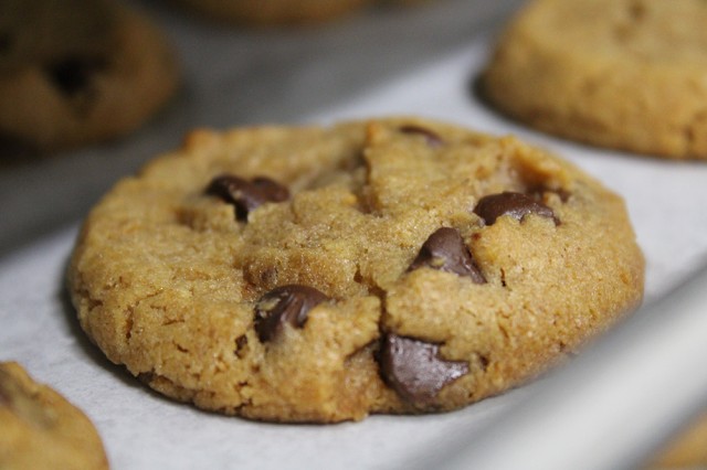 Closeup of a chocolate chip cookie
