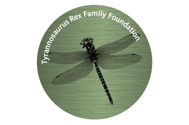 Dragonfly on green circular background