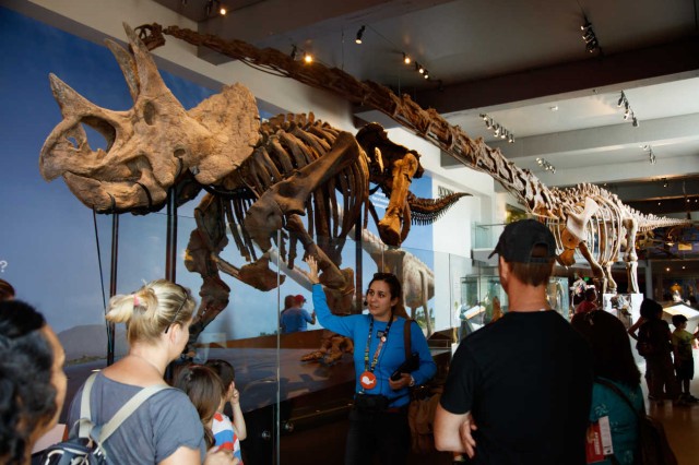 Visitors facing a Museum Educator with a dinosaur skeleton in the background