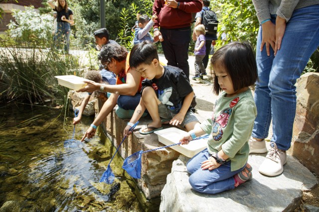 Children kneeling by and leaning over a pond with small blue nets