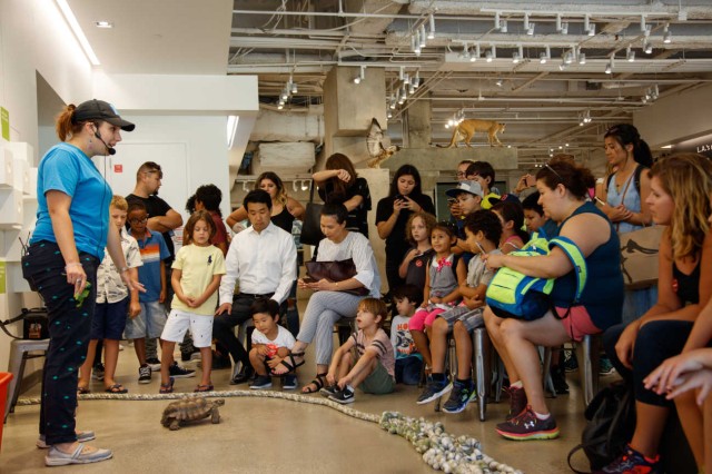 Museum Educator with a tortoise on the ground facing an audience