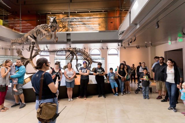 Visitors, facing a Museum Educator, with dinosaur skeletons behind them
