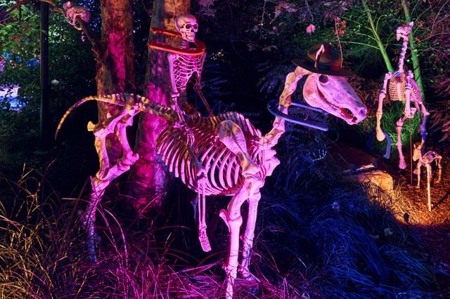 Replica human skeleton riding a skeleton horse