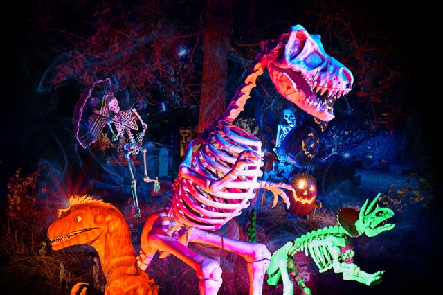 Human and dinosaur skeletons and figures in orange, pink, and green