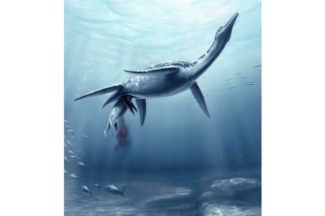 Polycotylus, also known as Polly the Plesiosaur