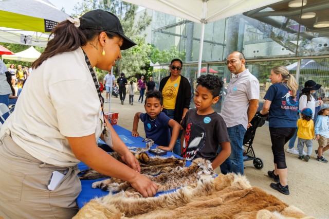 Visitors viewing specimens on a table