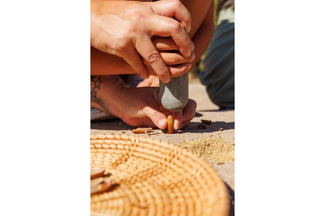 Parent guiding a child&#039;s hand to crack acorn with bedrock mortar and pestle