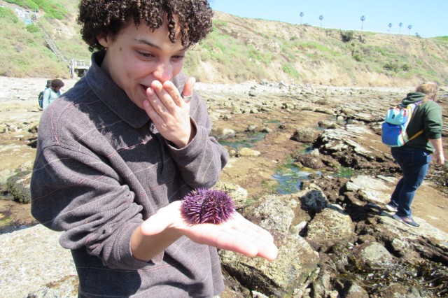 Student holding a purple spiky specimen, standing amongst tide pools