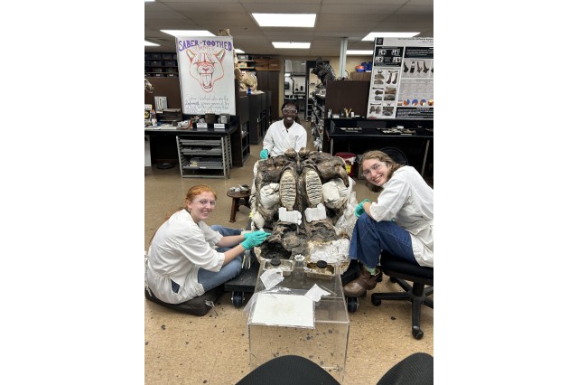 Interns, wearing white lab coats and gloves, working on a fossil specimen