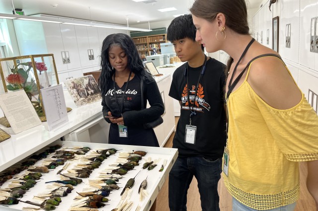 Interns looking at pulled-out drawer of bird specimens with tags