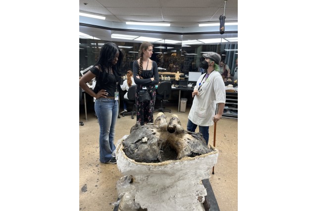 Interns standing around a specimen