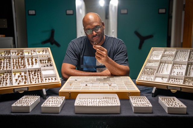 Dr. Shane Campbell-Staton at a table with displays of pinned bees in boxes