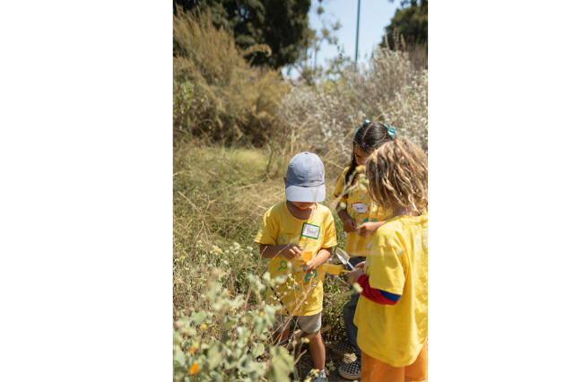Three children in yellow t-shirts in a field, holding a a yellow scoop and white net