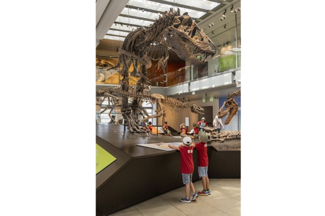 Children in red shirts looking up at a Tyrannosaurs rex skeleton