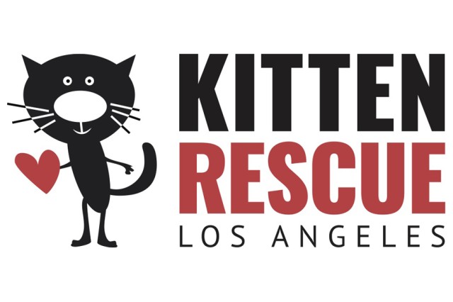 Black cat holding a heart next to Kitten Rescue in capital letters 