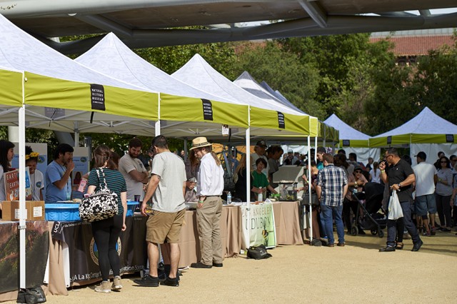 Visitors at a row of tables below yellow and white tents