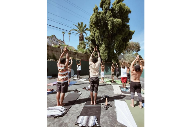 A group of people practicing yoga outdoors on mats, all with their arms raised toward the sky in front of a tall, lush tree.