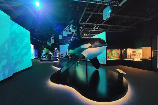 Black and white sculpture of an orca on poles, above a black cut-out organic shape on the ground