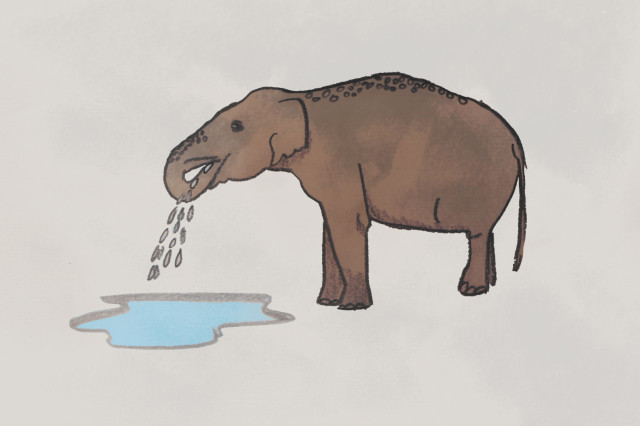 Illustration of elephant drinking water from a puddle