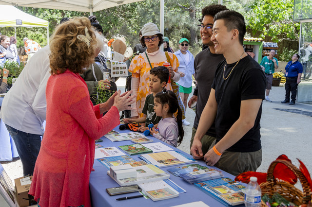 Visitors speaking with a presenter, with printed materials on a table between them