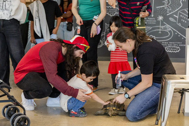 Child touching a tortoise between two kneeling adults
