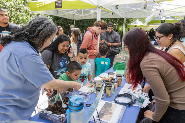 Families looking at specimens on a table outside