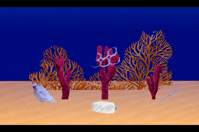 Cut-out illustrations of coral and plastic bottles against a blue and orange background