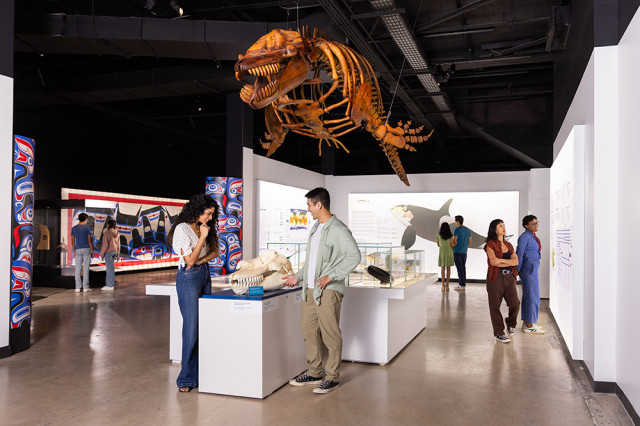 Two visitors standing on either side of a whale skull with a whale skeleton suspended from the ceiling above them