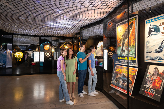 Four visitors standing together looking at colorful posters of whales in the ocean