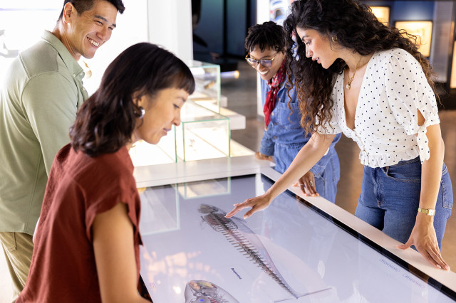 Visitors standing on either side of a table and pointing at a black and white image of a skeleton under glass 