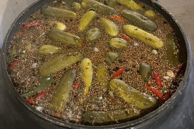 pickles in large pot with seasonings 