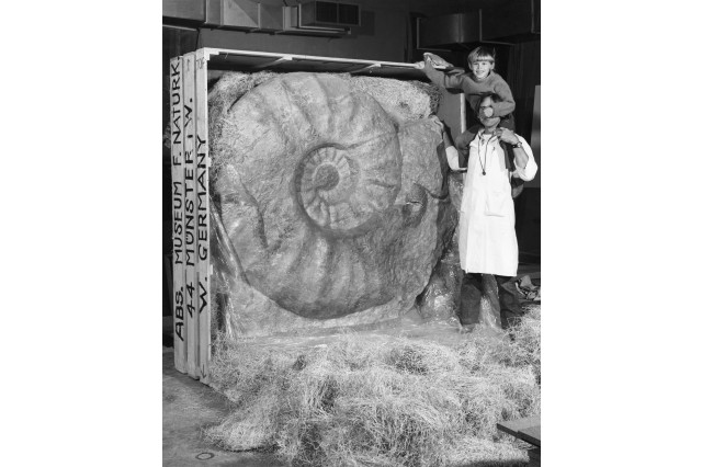 Black and white photo of a man in a lab coat, holding a small boy on his shoulders, standing in front of an open crate with a giant, fossilized ammonite in side.