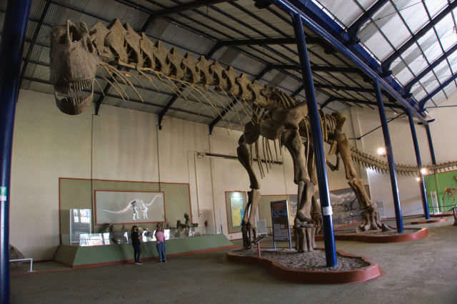 Long-necked dinosaur skeleton fully mounted on display in a museum with two children standing below to show the giant size of the fossil.
