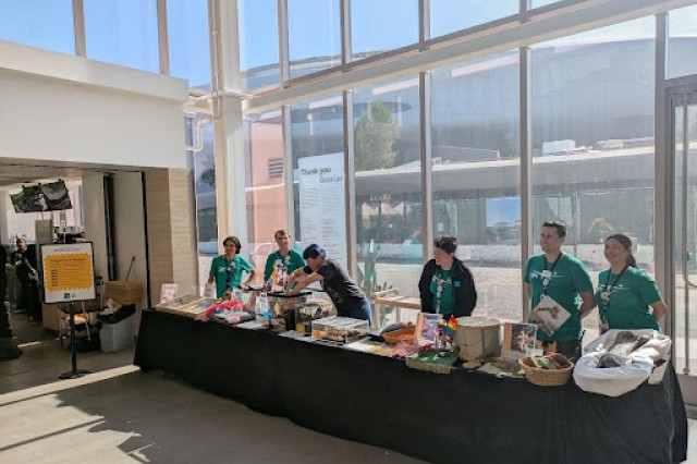 Three tables covered in black linens form a long display of museum related items, living insects, and colorful swatches of cloth. Behind this display are four museum educators in their green t-shirts and a woman reaching into one of the insect tanks. 