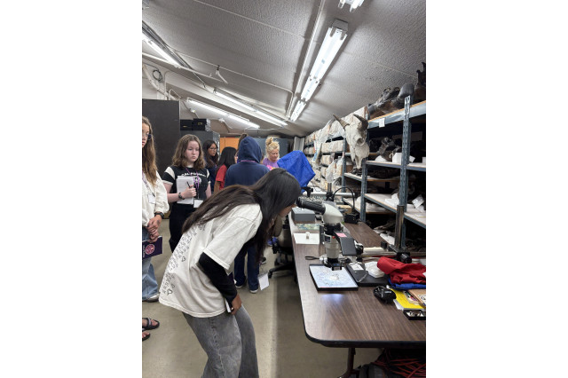 Student looking into a microscope on a table
