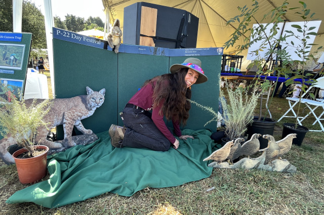 Miroslava Munguia Ramos kneeling down, in front of a green backdrop, next to cut-out photos of a mountain lion and quail