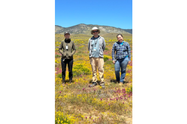 Three horticulturists standing a field of flowers with mountains behind them in the distance
